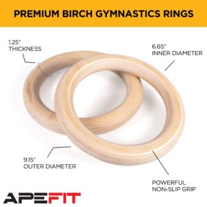 APEFIT Power Gymnastic Rings and Competition Straps | Quick Adjustment Carabiner | Anti-Theft Lock | Birch Rings | for Calisthenics, Gym & Bodyweight Training, PISP00120CARBRING