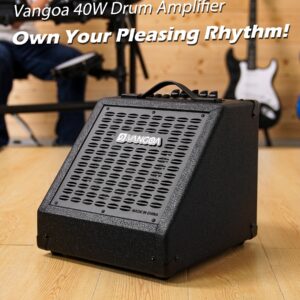 Vangoa Electric Drum Amp 40W Professional Drum Amplifier Speaker, 3 Inputs 3 Band EQ Wireless Electronic Drum Monitor, Keyboard Speaker, Black