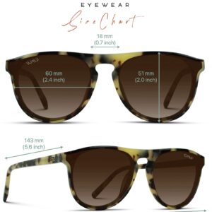 WMP Eyewear - Modern One Bridge Large Round Sunglasses (Crystal Brown Frame/Gradient Brown Lens)