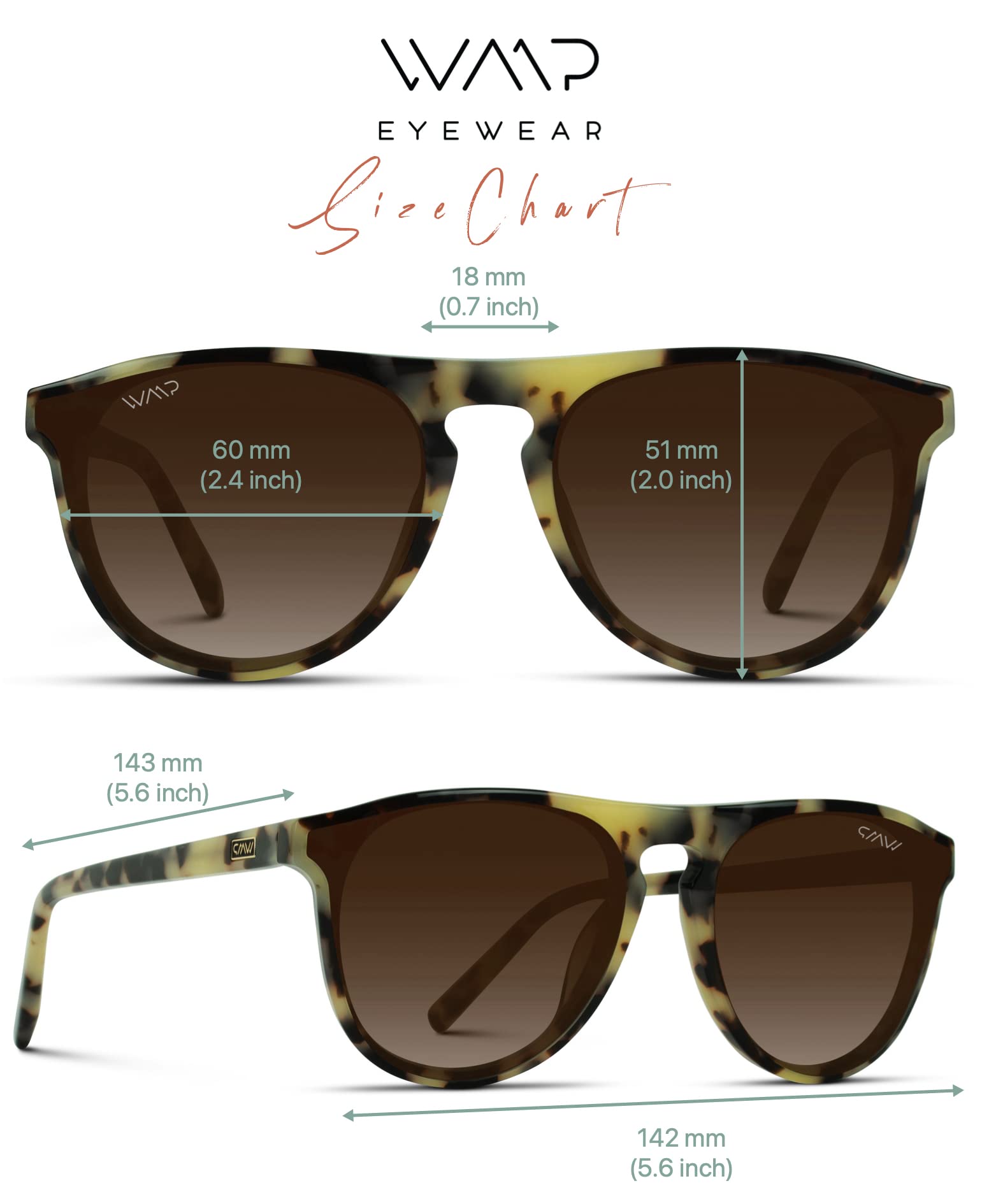 WMP Eyewear - Modern One Bridge Large Round Sunglasses (Crystal Brown Frame/Gradient Brown Lens)