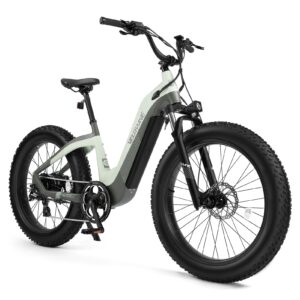 velowave grace 2.0 48v 20ah electric bike for adults 750w bafang motor ebike with fender shimano 7-speed 26" x 4.0 fat tire step-thru electric bicycle (turquoise/green)