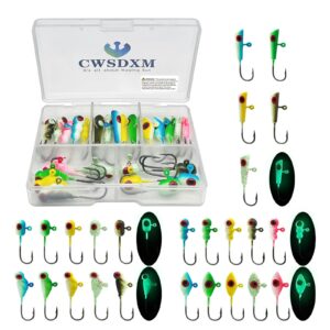 cwsdxm glow ice fishing jigs winter ice fishing lures ice fishing gear for ice jigging panfish, pike, walleye, perch and crappies 25pcs…