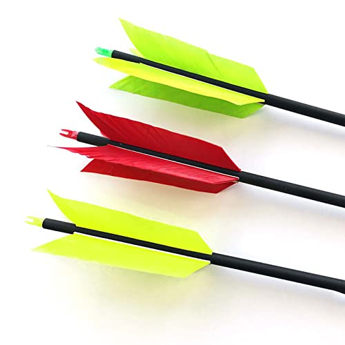 Lamehfyo 31" Carbon Arrows Target Flu-Flu Arrows Spine 500 Hunting and Target Practice Arrows with 4pcs Turkey Feathers for Small Game Hunting Shooting (6pcs, Green)