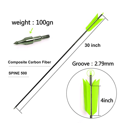 Lamehfyo 31" Carbon Arrows Target Flu-Flu Arrows Spine 500 Hunting and Target Practice Arrows with 4pcs Turkey Feathers for Small Game Hunting Shooting (6pcs, Green)