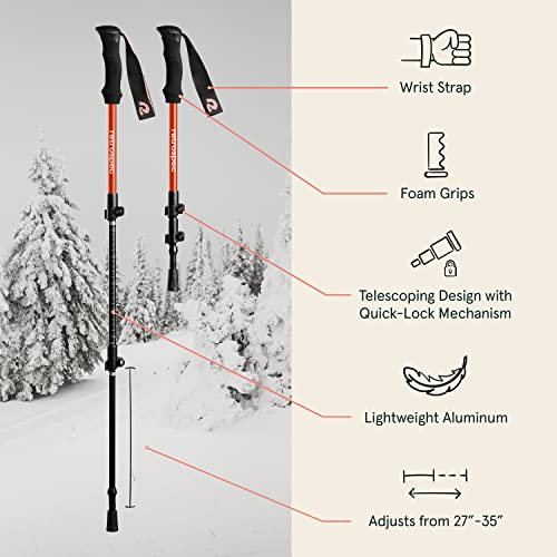 Retrospec Drifter 14/17 Inch Kids’ Bundle Snowshoes & Trekking Poles for Boys & Girls, All Terrain with Fully Adjustable Binding and Carry Bag with Lightweight Aluminum Hiking & Walking Sticks