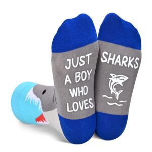 HAPPYPOP Kids Shark Gifts Boys - Funny Silly Socks for Kids 7-9 Years, Boys Novelty Gifts Childrens Ocean Shark Socks