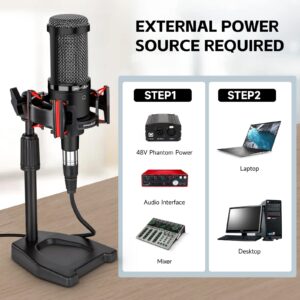 PROAR Condenser Microphone XLR, Cardioid Pickup Pattern, 48V Phantom Power Required, Shock Mount & Pop Filter Included, Sturdy Base & Height Adjustable Stand