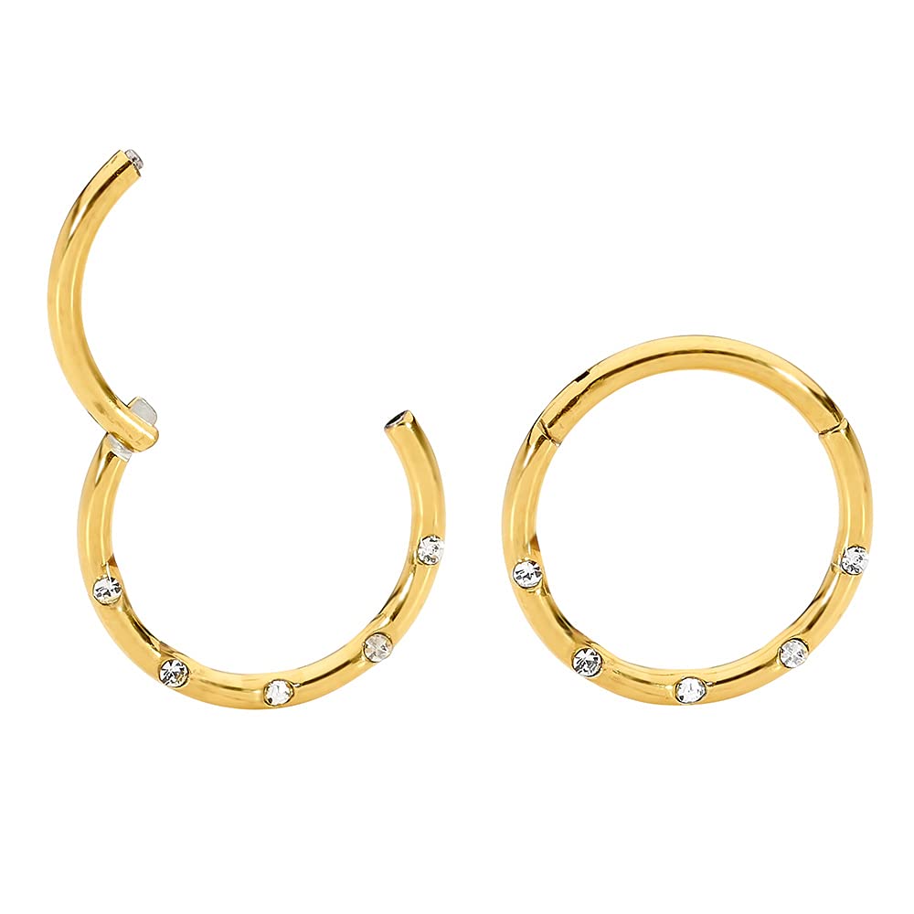 365 SLEEPERS G23 Titanium 16G 8mm 10mm Gem Hinged Hoop Segment Nose Ring Helix Tragus Septum Unisex Earring Body Piercing Jewelry