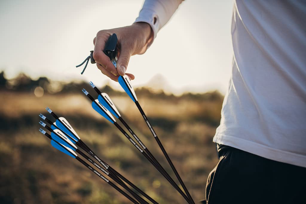 ARCHERY SHARLY 30Inch Carbon Hunting Arrow, Targeting Practice Arrows for Compound & Recurve Bow, Blue White Arrows with Removable Tips & Replaceable Nocks (12 Pack)