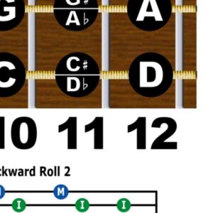 Dobro Open D Tuning Resonator Guitar Fretboard Note & Rolls Chart - Beginners & Intermediate Instructional Easy Poster Chords 11x17 | A New Song Music