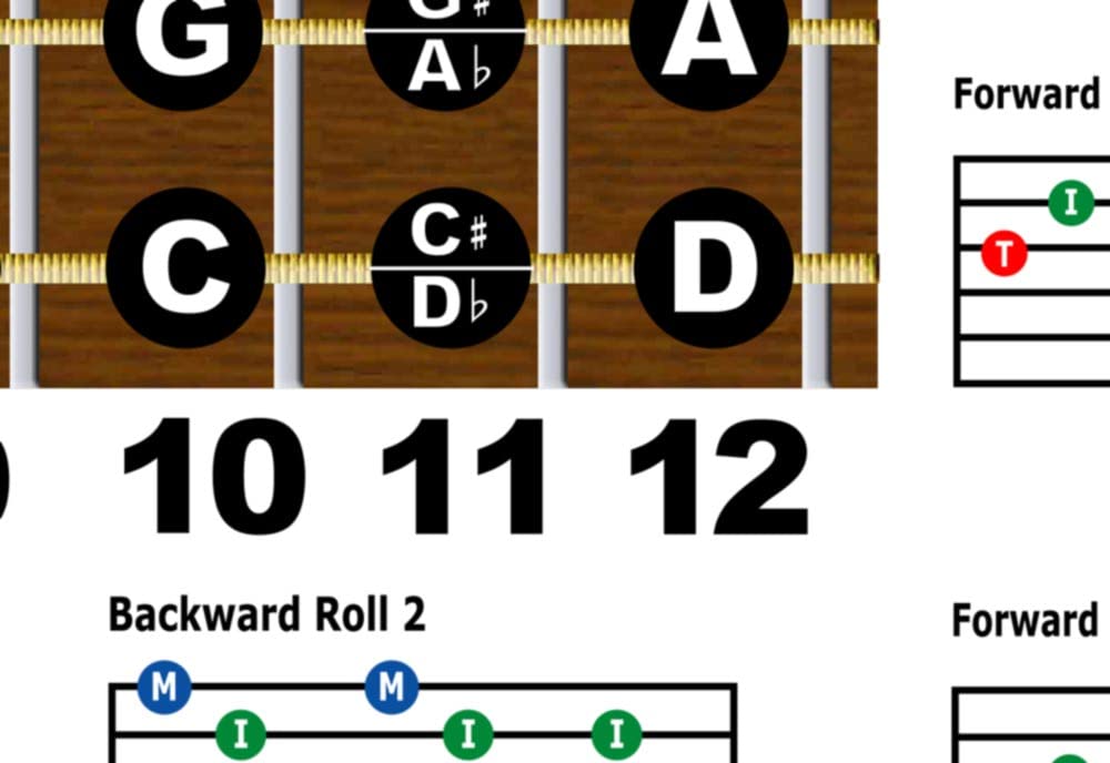 Dobro Open D Tuning Resonator Guitar Fretboard Note & Rolls Chart - Beginners & Intermediate Instructional Easy Poster Chords 11x17 | A New Song Music