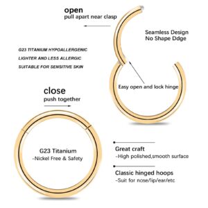 BOGKU 8pcs 20 Gauge Nose Rings Hoops Titanium Nose Ring 20g Hinged Nose Rings 8mm Nose Ring Cartilage Helix Hoop Earrings (20 Gauge 8mm)