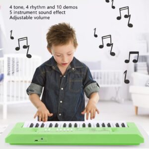 Fun and Educational Kids Piano Keyboard with Microphone | Portable Electronic Keyboard for Beginners | Musical Toy for Christmas and Birthdays