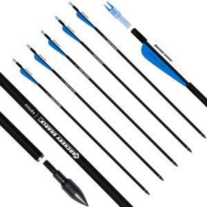 ARCHERY SHARLY 30Inch Carbon Hunting Arrow, Targeting Practice Arrows for Compound & Recurve Bow, Blue White Arrows with Removable Tips & Replaceable Nocks (12 Pack)