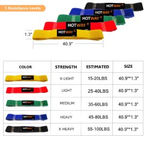 HOTWAY Long Resistance Bands Set, Fabric Pull Up Assistance Exercise Bands for Women, 5 Pack Thick Cloth Heavy Duty Stretch Bands for Full Body Workout & Weight Training (Color)