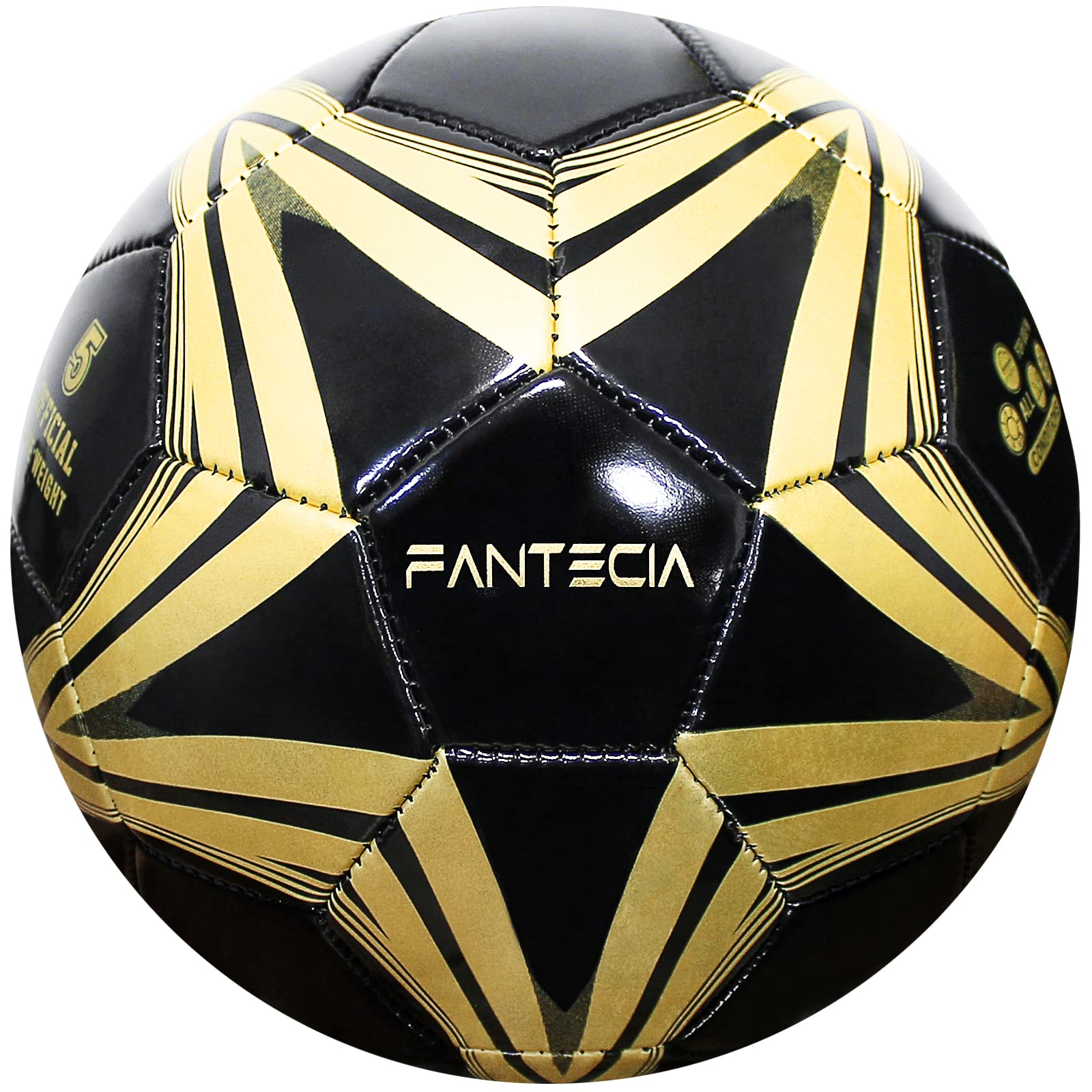 Fantecia Unisex Size 5 Soccer Ball, Official Match Weight Futsal Ball, Professional Outdoor/Indoor Soccer Ball with Pump for Youth & Adult.