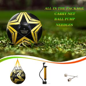 Fantecia Unisex Size 5 Soccer Ball, Official Match Weight Futsal Ball, Professional Outdoor/Indoor Soccer Ball with Pump for Youth & Adult.