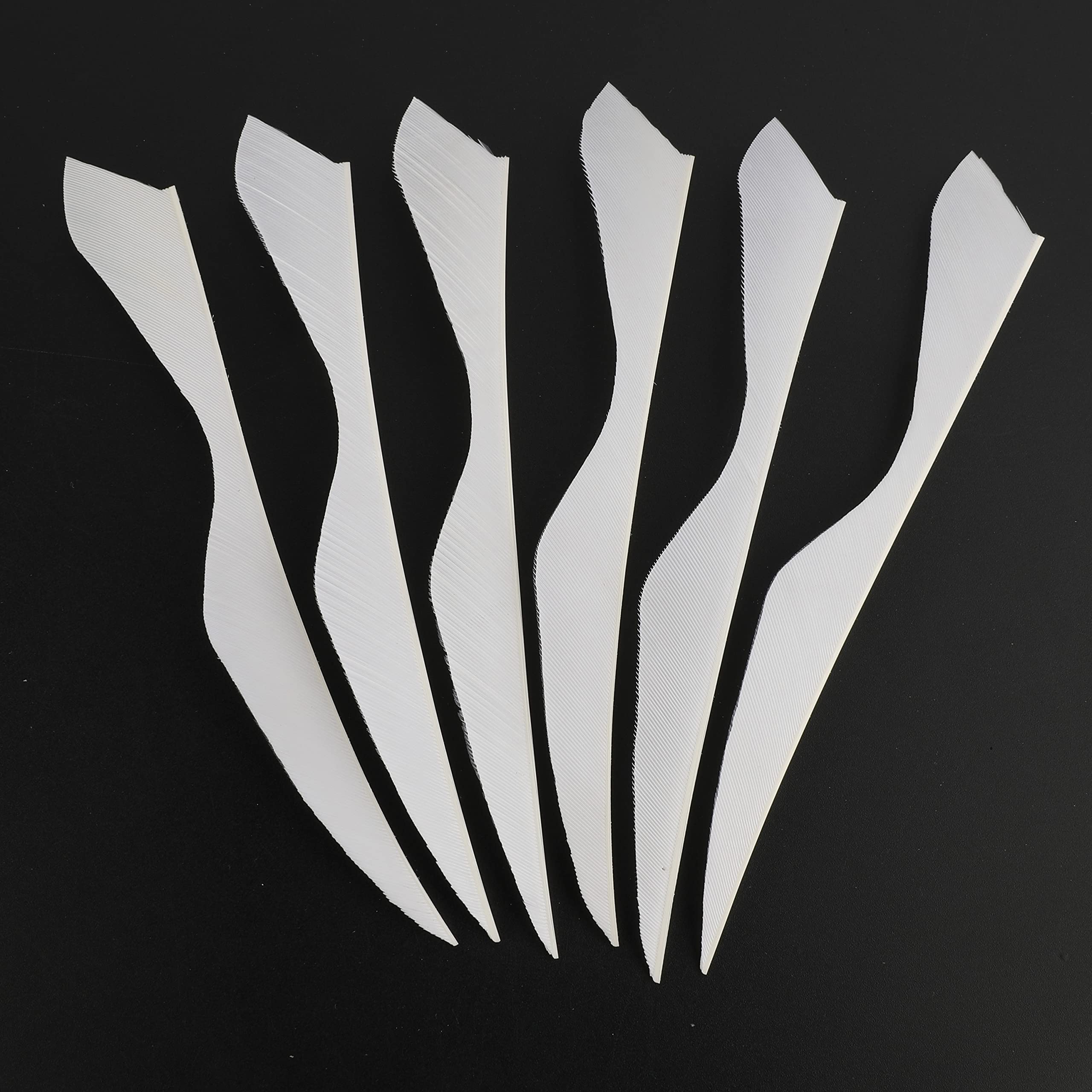 limaity 50Pcs 5Inch Feather Fletching Vanes Right Wing Natural Arrow Feathers Big Turkey Feathers for DIY Archery Hunting Targeting Arrows (White)