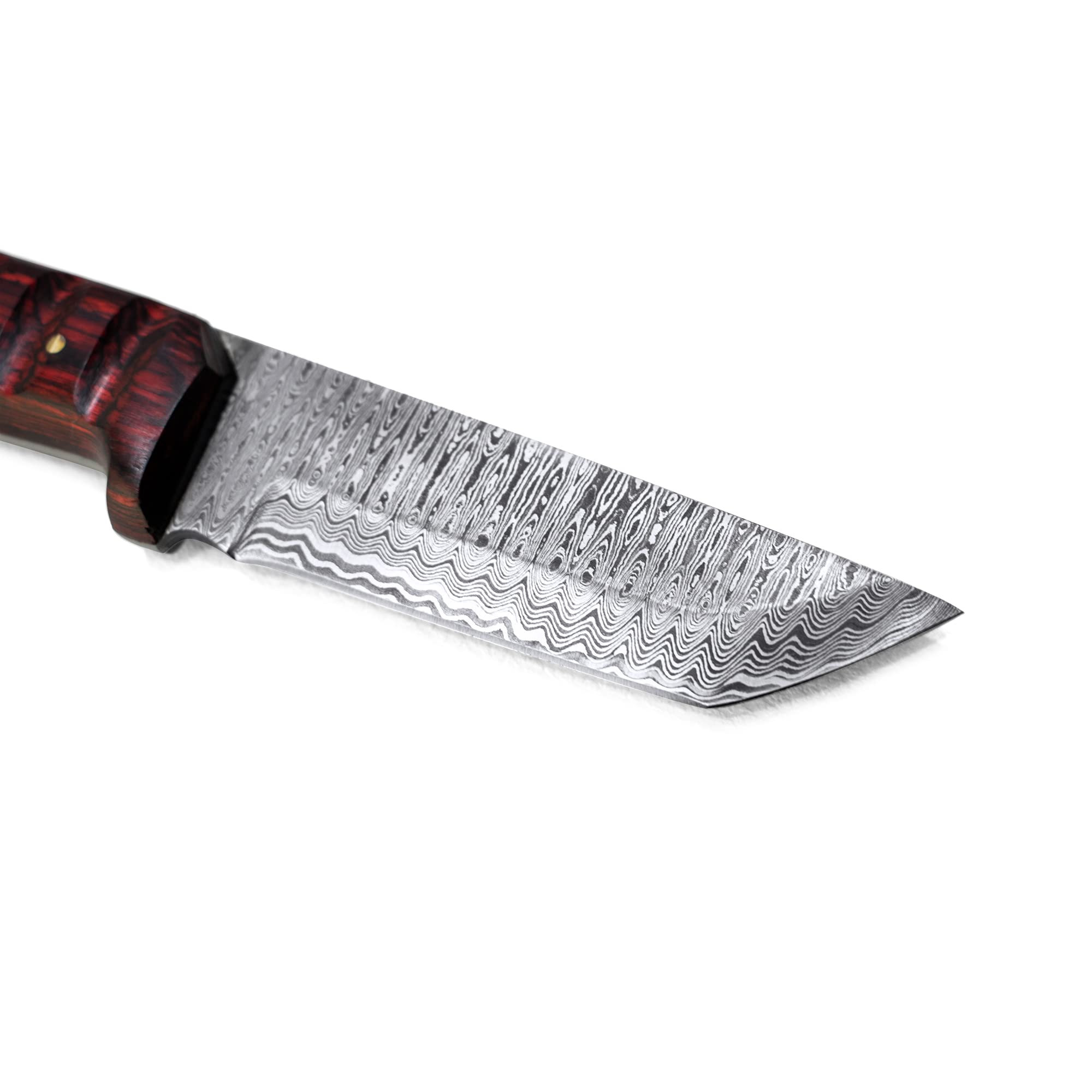 Titan International Knives Diver High & Low Carbon Damascus Steel Hunting Gear Survival Tanto Point EDC Tactical Blade Cherry Wood Handle with Leather Sheath Perfect for Camping Fishing (TD-275)