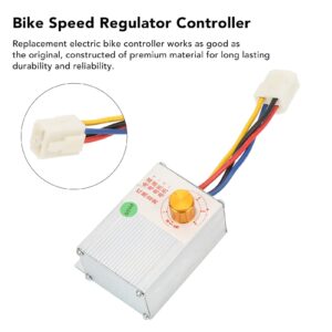 RiToEasysports 12V 250W Electric Bike Speed Controller with Charging Port for Tricycle Motorcycles Electric Modification Accessories