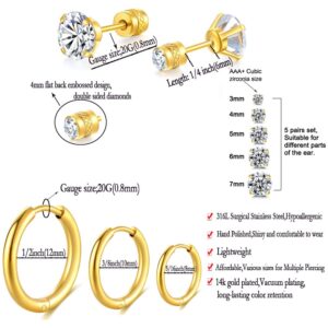 Dainty 8 Pairs Surgical Stainless Steel Earrings 14K Gold Plated Hoop Earrings,Stainless Steel,14K Gold Plated