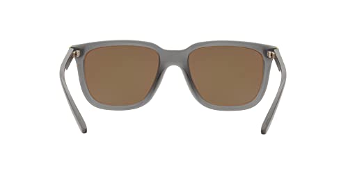 Arnette Men's AN4306 Plaka Square Sunglasses, Transparent Grey/Mirrored Yellow Gold, 54 mm