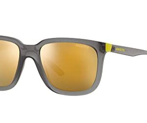 Arnette Men's AN4306 Plaka Square Sunglasses, Transparent Grey/Mirrored Yellow Gold, 54 mm