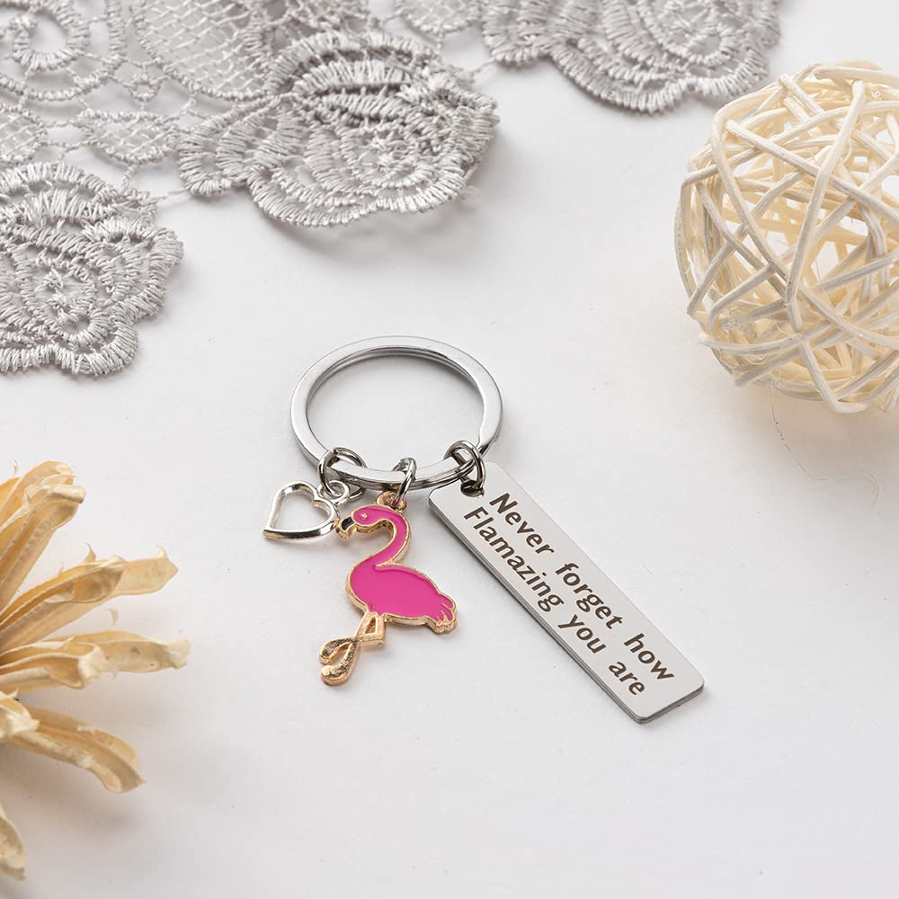 BOMEON Flamingo Gifts for Women, Flamingo Keychain Womens Keychain, Inspirational Gifts for Women, Motivational Gifts, Encouragement Gifts for Women, Get Well Soon Gifts, Cheer Up Gifts for Women