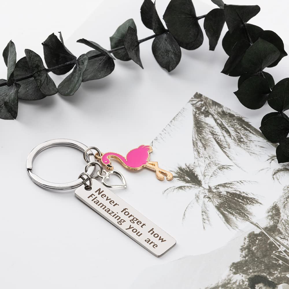 BOMEON Flamingo Gifts for Women, Flamingo Keychain Womens Keychain, Inspirational Gifts for Women, Motivational Gifts, Encouragement Gifts for Women, Get Well Soon Gifts, Cheer Up Gifts for Women