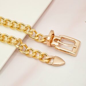 BAOKELAN Chain Belt for Women Chunky Waist Chain Belts for Dresses Gold 110CM