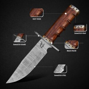 Handmade Damascus Steel Hunting Knife - 11" EDC Fixed Blade Knife Ideal for Skinning, Camping, and Outdoor, Bushcraft, Tactical, Skinning Knife With Wood Handle & Leather Sheath