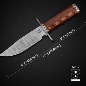 Handmade Damascus Steel Hunting Knife - 11" EDC Fixed Blade Knife Ideal for Skinning, Camping, and Outdoor, Bushcraft, Tactical, Skinning Knife With Wood Handle & Leather Sheath