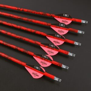 ZSHJGJR 30" Carbon Arrows Archery Hunting Arrows Spine 500 with Removable Tips Targeting Practice Arrows for Compound Recurve Bow (12, Red)