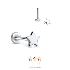 316 Stainless Steel Threadless Push Pin Nose Ring Labret Monroe Stud Star, 3/16" (5mm) Post Length 16G