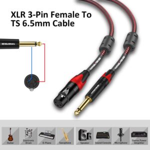 TIMEYES 3M 6.5 to XLR Cable, Unbalanced Mono 6.35mm Male to Female 3-Pin XLR Plug Microphone Patch Cable, 1/4'' 6.5mm TS to XLR Mic Cable Quarter Inch to XLR Female Audio Cord XLR to 1/4 Inch 10FT