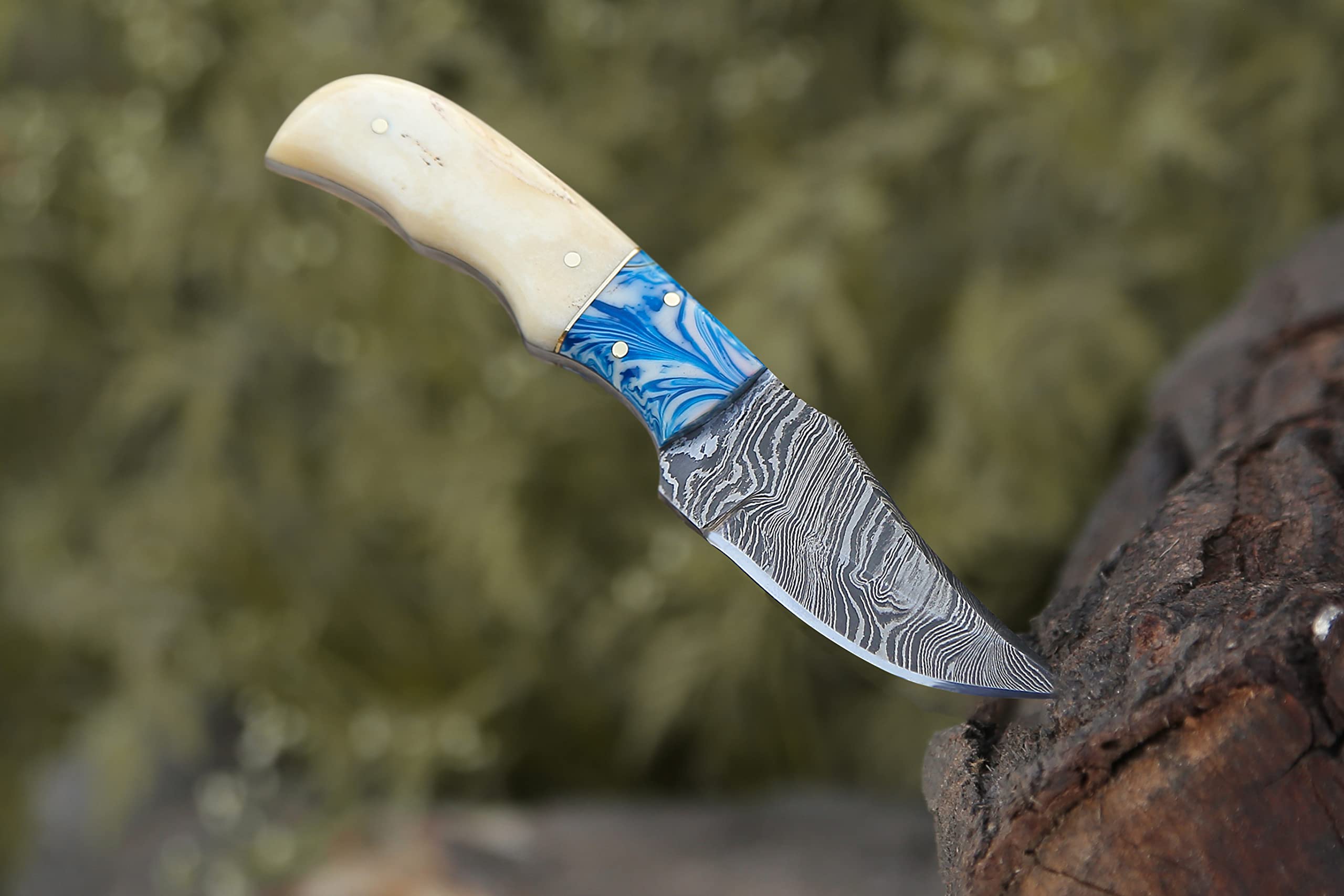 KNIFEIFY skinner fixed blade Knife: Handcrafted Elegance with Bone Handle - Perfect for Collectors and Outdoor Enthusiasts (CAMEL BONE)