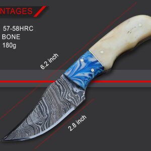 KNIFEIFY skinner fixed blade Knife: Handcrafted Elegance with Bone Handle - Perfect for Collectors and Outdoor Enthusiasts (CAMEL BONE)