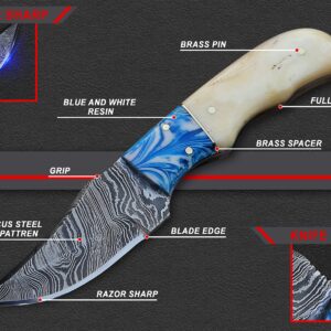 KNIFEIFY skinner fixed blade Knife: Handcrafted Elegance with Bone Handle - Perfect for Collectors and Outdoor Enthusiasts (CAMEL BONE)