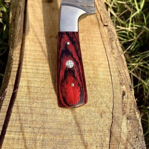 W TRADING Handmade Damascus Steel Hunting Knife Survival Fixed Blade Knife with Red Pukka Wood-Damascus Steel Blade Skinning Camping Knives For men and women With Leather Sheath