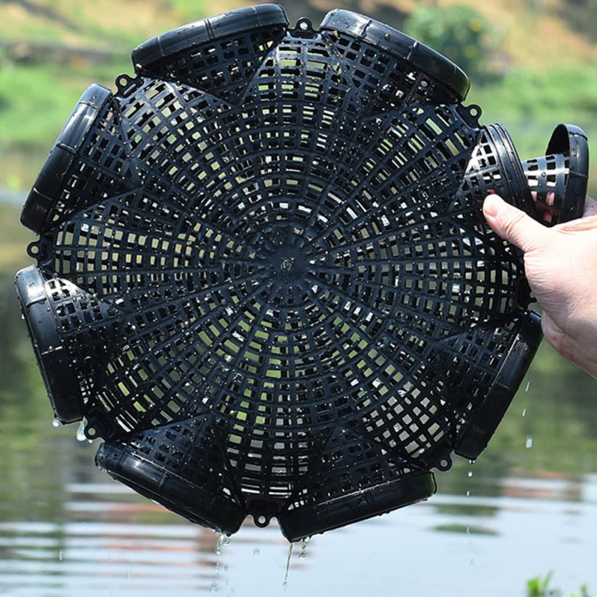 BESPORTBLE Yellow EEL and Shrimp Cage: Lobster Shrimp Cage Fishing Bait Case Shrimp Cast Net