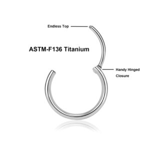 LovePiercing ASTM-F136 titanium earrings small hoop earrings for women septum rings nose rings 20G Silver(20G 14MM)