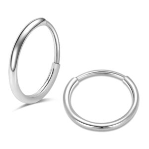 lovepiercing astm-f136 titanium earrings small hoop earrings for women septum rings nose rings 20g silver(20g 14mm)