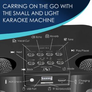 Flyasny Karaoke Machine for Adults and Kids, Portable Bluetooth Karaoke Speaker with 2 Wireless Microphones for TV, Singing Karaoke for Home Party, Great Gifts for Boys and Girls