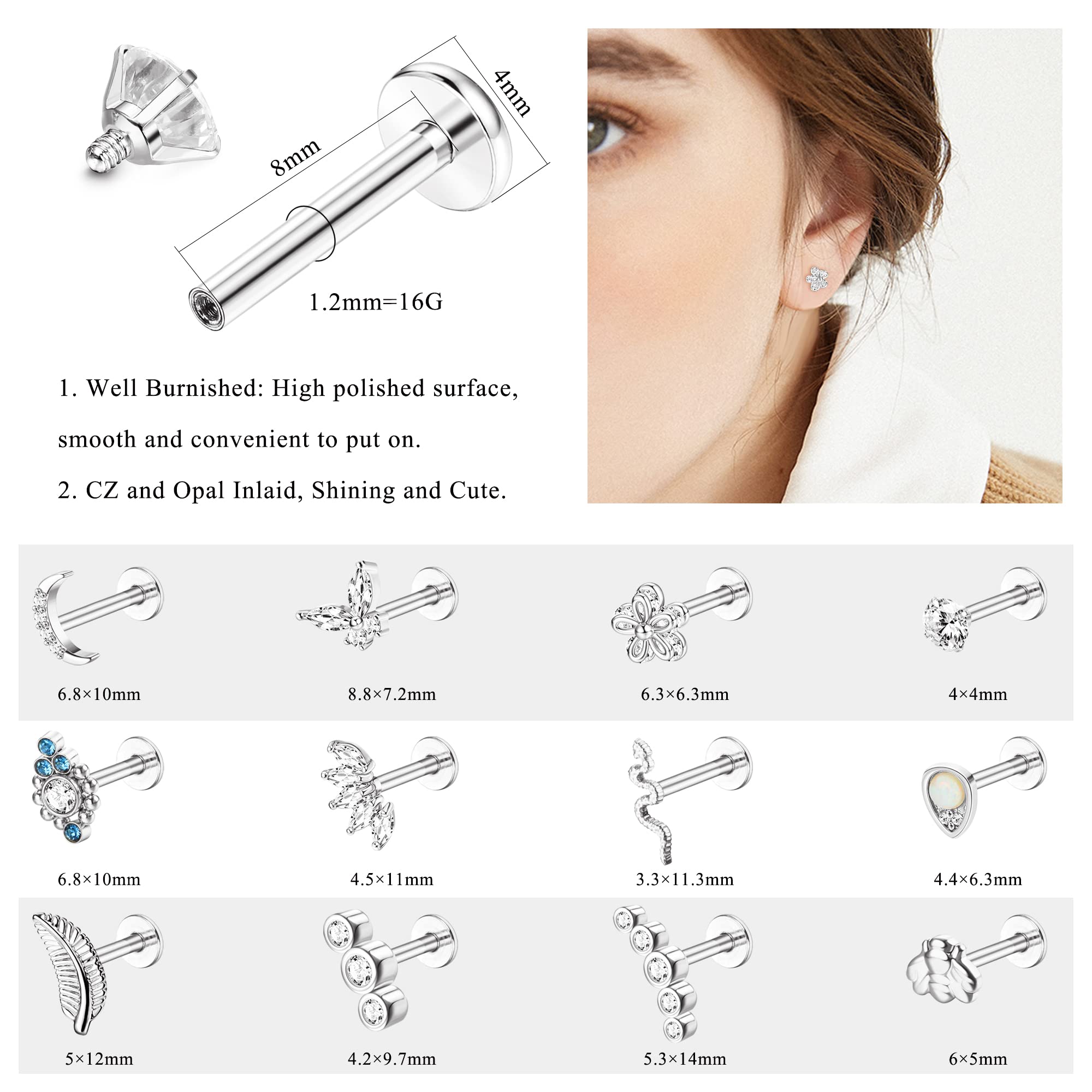 HAIAISO 12PCS Cartilage Earring Stud Piercing for Women 316L Stainless Steel Lip Rings Internally Threaded 16G Helix Labret Tragus Studs Conch Earrings Monroe Medusa Piercing Jewelry Set(Silver)