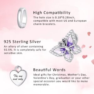 Tedit 925 Sterling Silver Charms for Bracelets and Necklace Butterfly Charms Beads Jewelrys for Women Girls Family and Friends