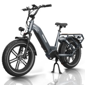 himiway big dog 20x4'' fat tire electric bike cargo ebike 750w 48v 20ah removable battery