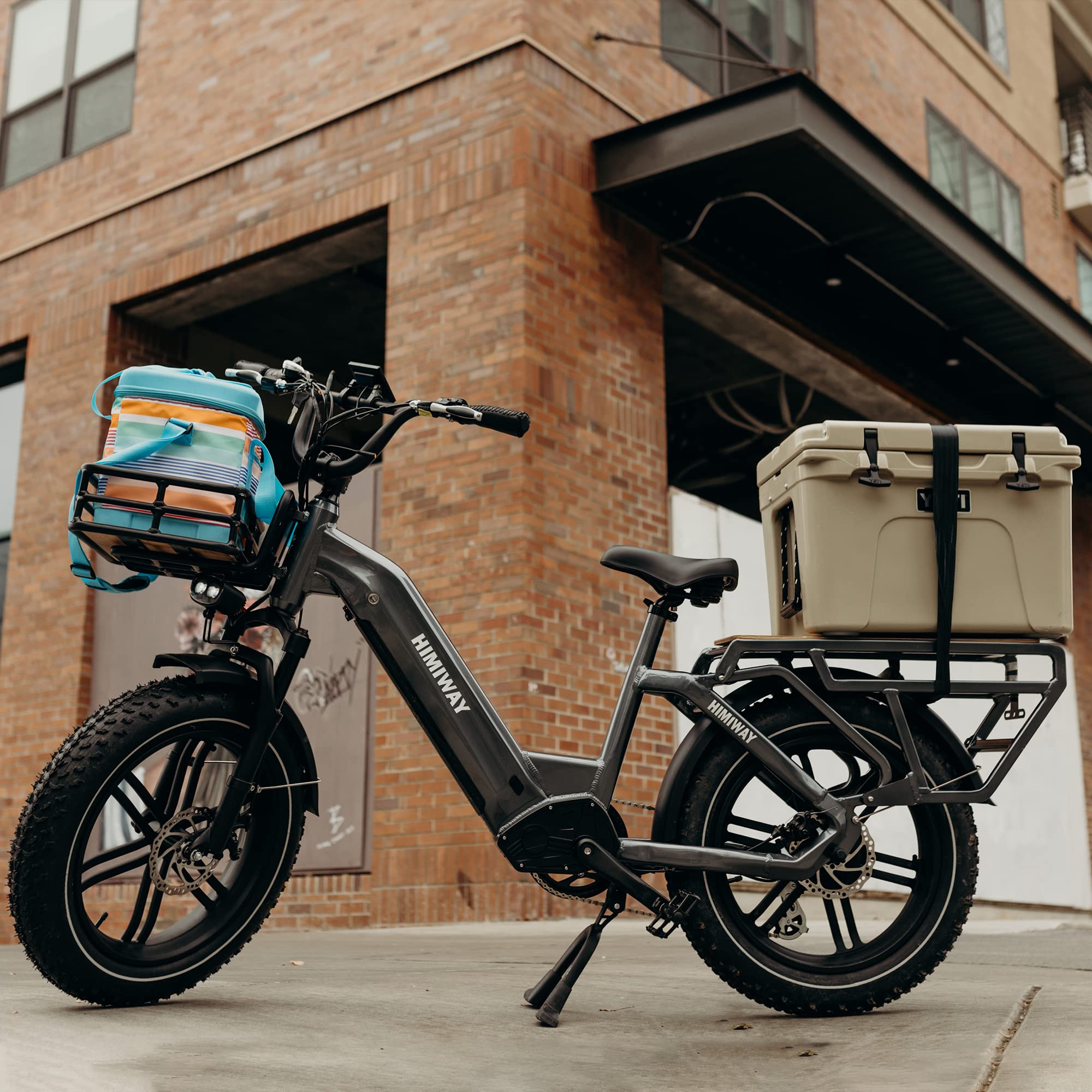 Himiway Big Dog 20X4'' Fat Tire Electric Bike Cargo Ebike 750W 48V 20Ah Removable Battery