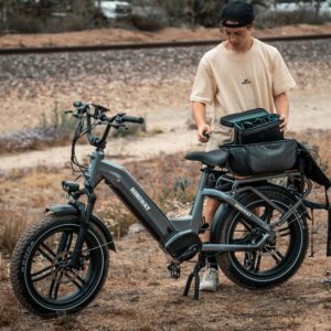 Himiway Big Dog 20X4'' Fat Tire Electric Bike Cargo Ebike 750W 48V 20Ah Removable Battery