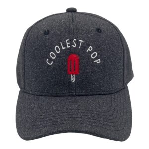 coolest pop hat funny best dad ever popsicle cool fathers day cap funny hats dad joke funny sarcastic novelty hats for men black - standard