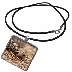 3drose venomous gaboon viper uses tongue to smell. - necklace with pendant (ncl-367132-1)